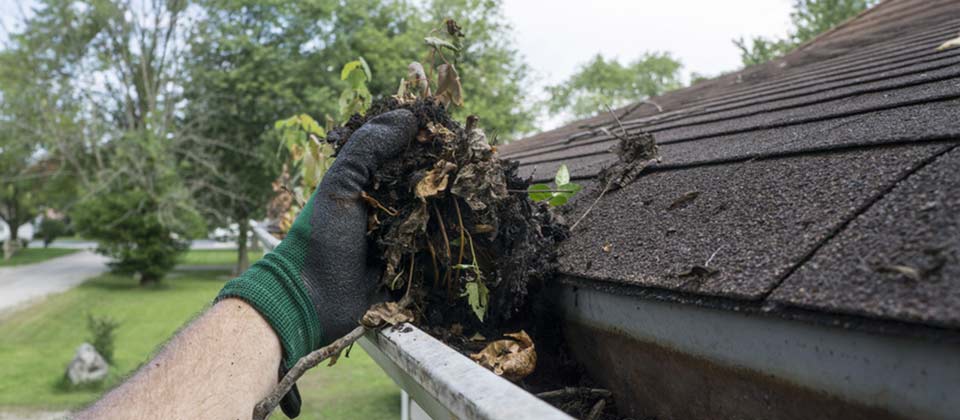 An image of Gutters can present a source of damage to your property if allowed to clog.  Call us for efficient cleaning and clearing services. goes here.